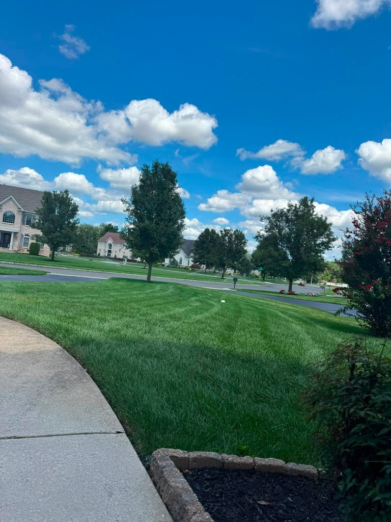Lawn maintenance work by Green Force Property Services